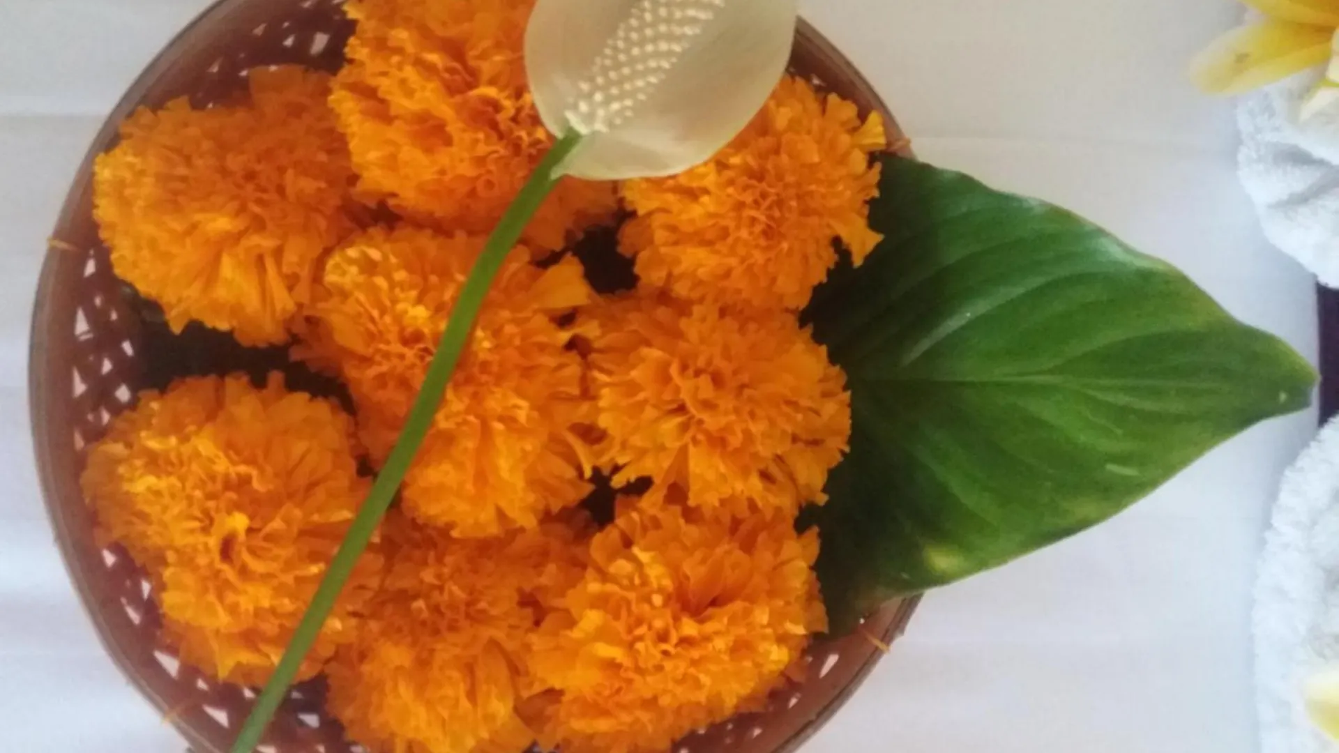 Liyer Spirit House Hotel Ubud  Guest house Ubud (Bali)