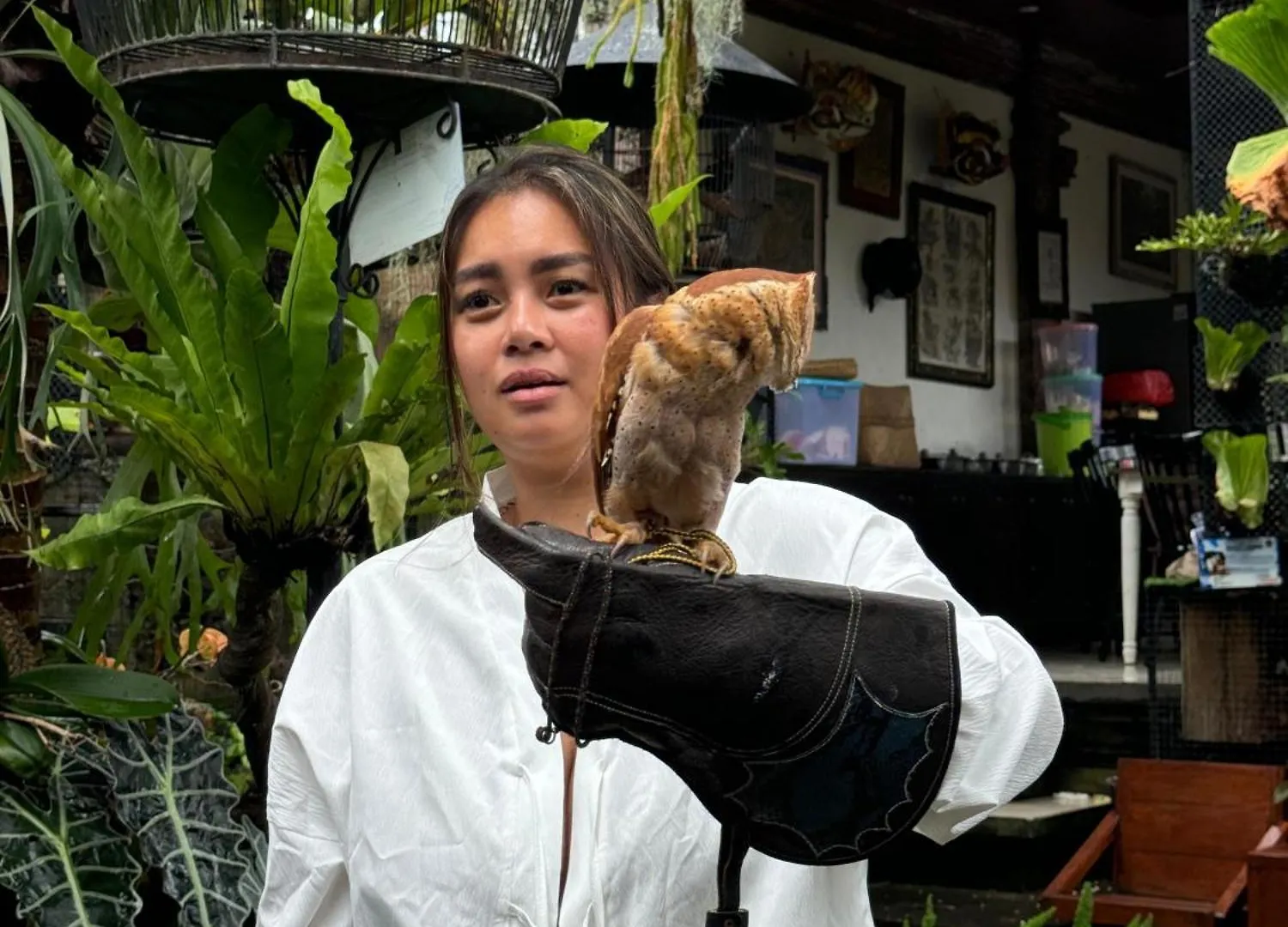 Liyer Spirit House Hotel Ubud  3*, Ubud (Bali)